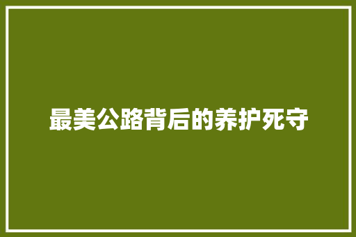 最美公路背后的养护死守