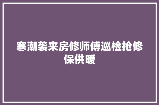寒潮袭来房修师傅巡检抢修保供暖