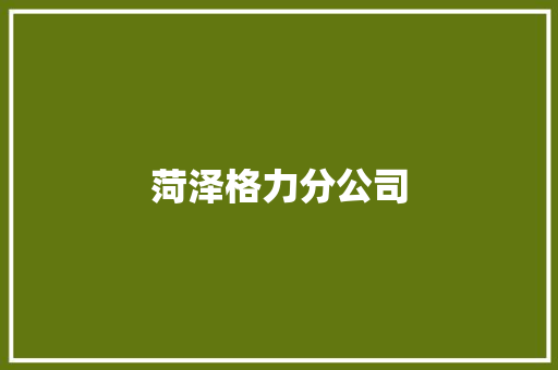 菏泽格力分公司