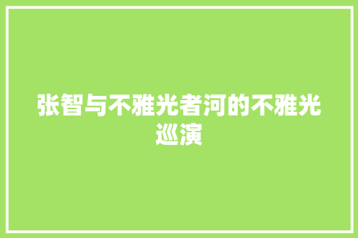 张智与不雅光者河的不雅光巡演