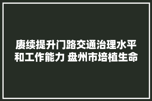 赓续提升门路交通治理水平和工作能力 盘州市培植生命防护工程工作纪实