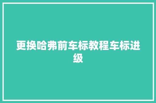 更换哈弗前车标教程车标进级