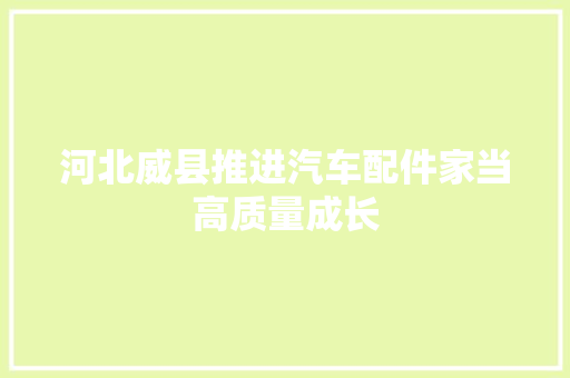 河北威县推进汽车配件家当高质量成长