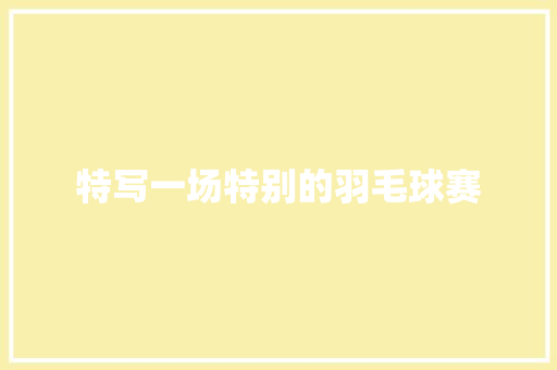 特写一场特别的羽毛球赛