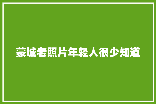 蒙城老照片年轻人很少知道