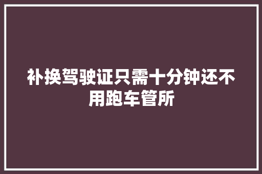 补换驾驶证只需十分钟还不用跑车管所