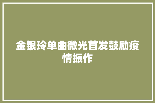 金银玲单曲微光首发鼓励疫情振作