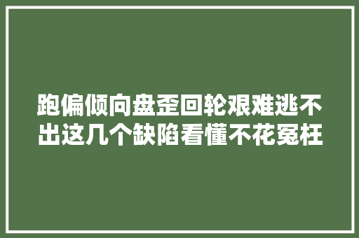 跑偏倾向盘歪回轮艰难逃不出这几个缺陷看懂不花冤枉钱