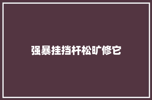 强暴挂挡杆松旷修它