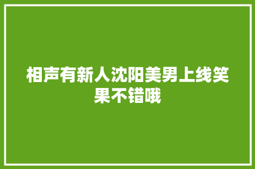 相声有新人沈阳美男上线笑果不错哦