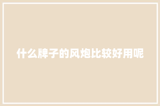 什么牌子的风炮比较好用呢