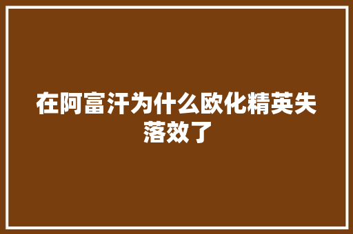 在阿富汗为什么欧化精英失落效了
