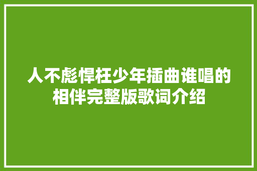 人不彪悍枉少年插曲谁唱的相伴完整版歌词介绍 休闲娱乐