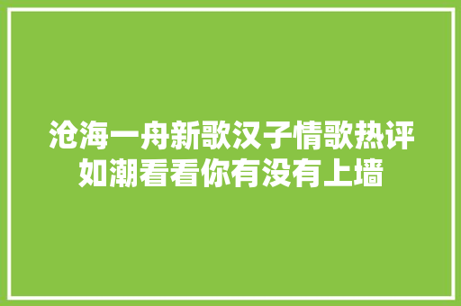 沧海一舟新歌汉子情歌热评如潮看看你有没有上墙