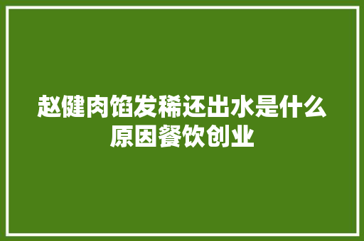 赵健肉馅发稀还出水是什么原因餐饮创业