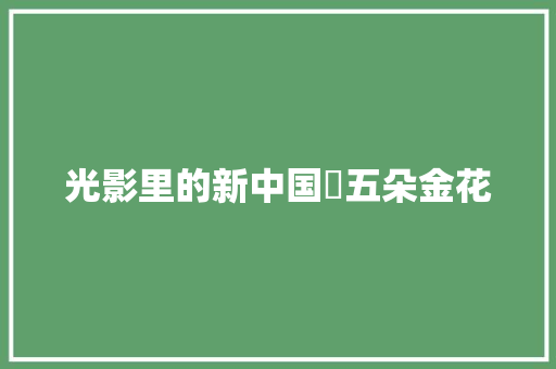 光影里的新中国⑫五朵金花