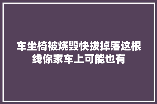 车坐椅被烧毁快拔掉落这根线你家车上可能也有