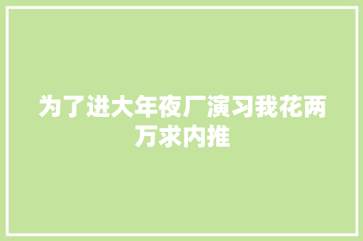 为了进大年夜厂演习我花两万求内推