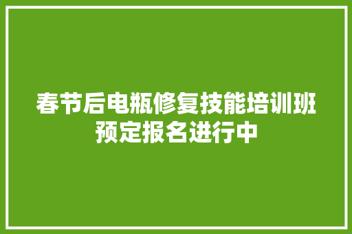 春节后电瓶修复技能培训班预定报名进行中