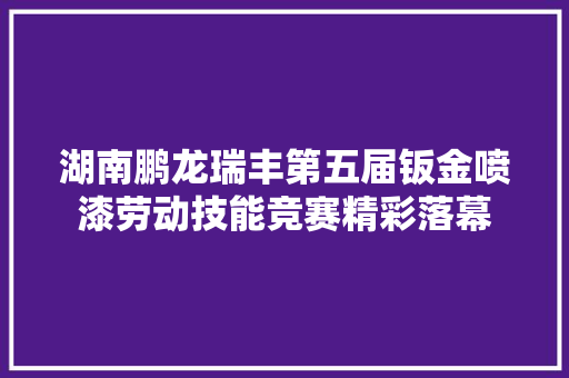 湖南鹏龙瑞丰第五届钣金喷漆劳动技能竞赛精彩落幕