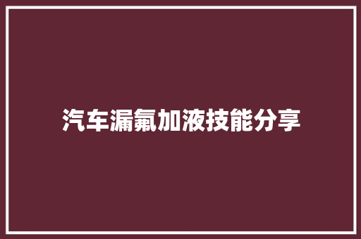汽车漏氟加液技能分享