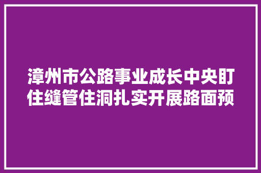 漳州市公路事业成长中央盯住缝管住洞扎实开展路面预防性养护
