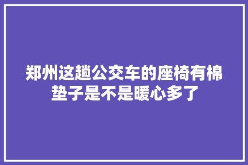 郑州这趟公交车的座椅有棉垫子是不是暖心多了