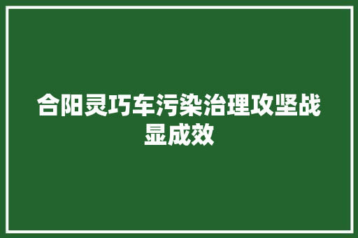 合阳灵巧车污染治理攻坚战显成效