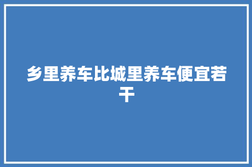 乡里养车比城里养车便宜若干