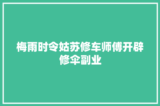 梅雨时令姑苏修车师傅开辟修伞副业