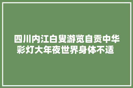 四川内江白叟游览自贡中华彩灯大年夜世界身体不适 景区工作人员暖心资助获赞誉