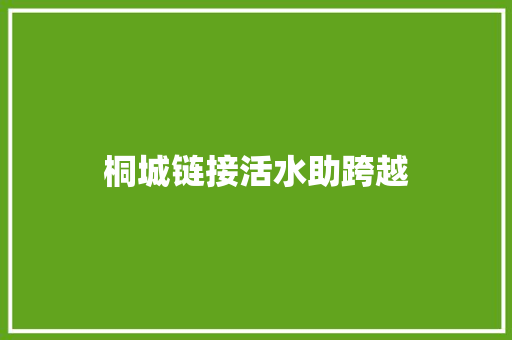 桐城链接活水助跨越