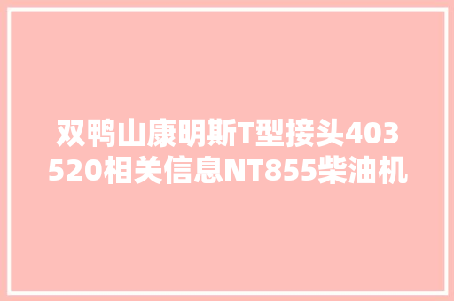 双鸭山康明斯T型接头403520相关信息NT855柴油机