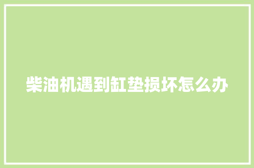 柴油机遇到缸垫损坏怎么办