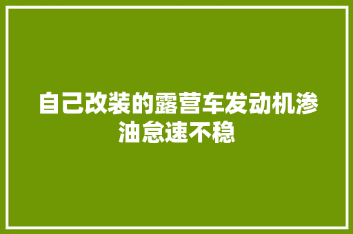 自己改装的露营车发动机渗油怠速不稳
