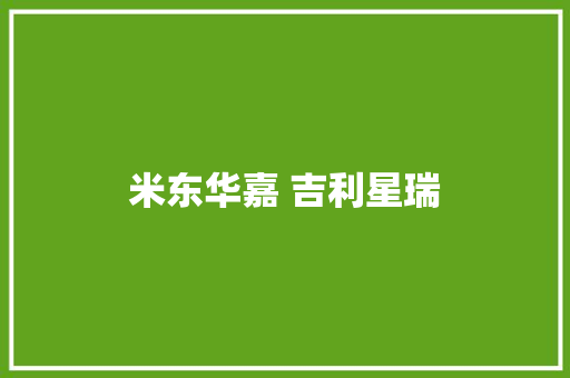 米东华嘉 吉利星瑞