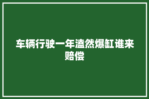 车辆行驶一年溘然爆缸谁来赔偿