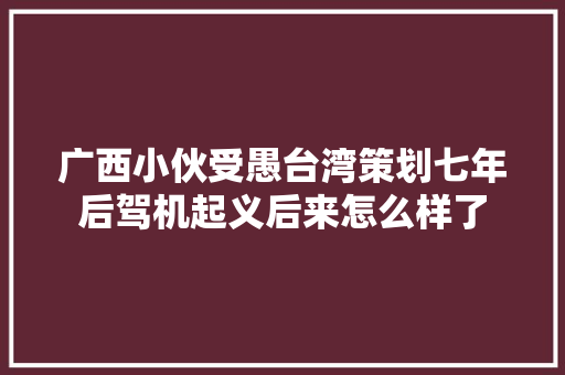 广西小伙受愚台湾策划七年后驾机起义后来怎么样了