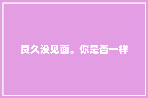 良久没见面。你是否一样