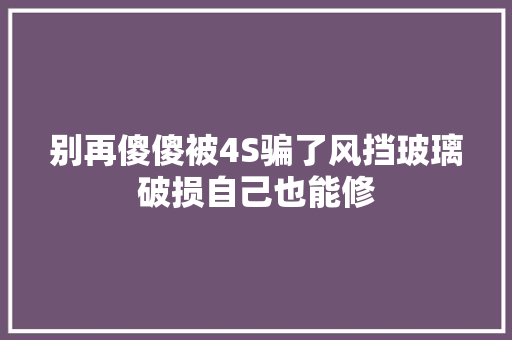 别再傻傻被4S骗了风挡玻璃破损自己也能修