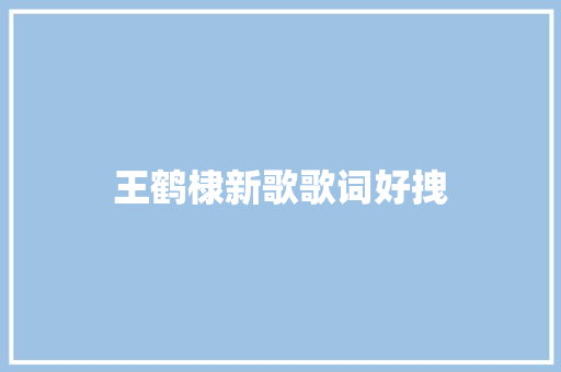 王鹤棣新歌歌词好拽