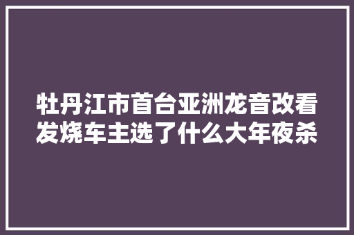 牡丹江市首台亚洲龙音改看发烧车主选了什么大年夜杀器