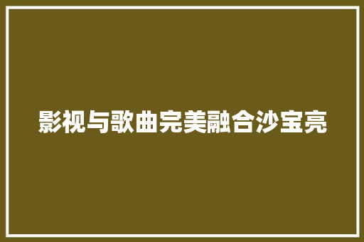 影视与歌曲完美融合沙宝亮