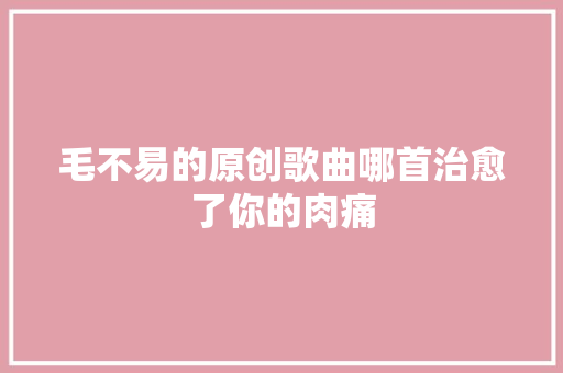 毛不易的原创歌曲哪首治愈了你的肉痛