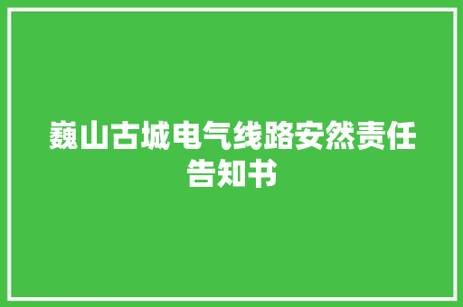 巍山古城电气线路安然责任告知书