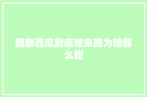 麒麟西瓜到底啥来路为啥那么甜