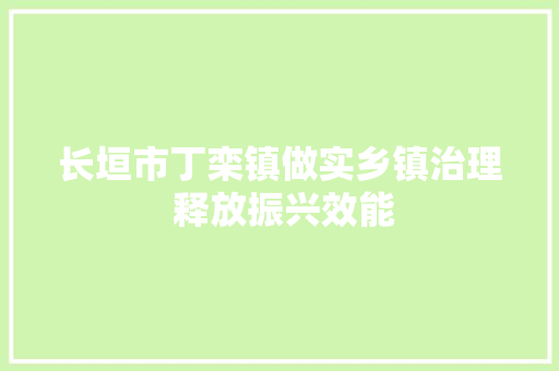 长垣市丁栾镇做实乡镇治理 释放振兴效能 汽车知识