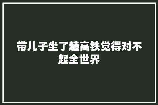 带儿子坐了趟高铁觉得对不起全世界