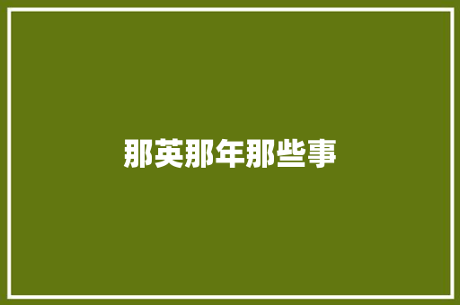 那英那年那些事 休闲娱乐