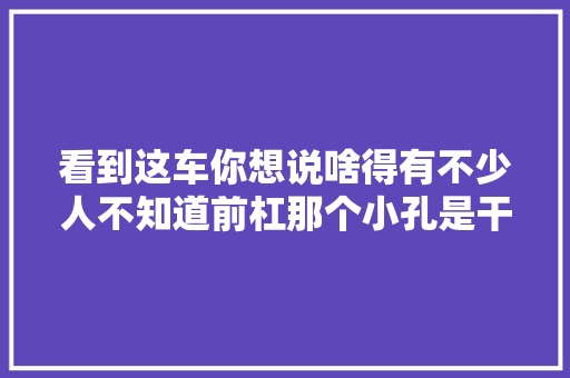 看到这车你想说啥得有不少人不知道前杠那个小孔是干啥的